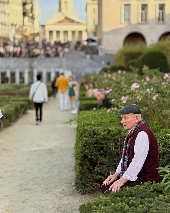 An older man seated beside rose bushes in a city garden